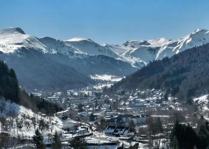 T2- Wifi - Rdc A 300m Des Thermes - La Blanche * Mont-Dore